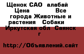 Щенок САО (алабай) › Цена ­ 10 000 - Все города Животные и растения » Собаки   . Иркутская обл.,Саянск г.